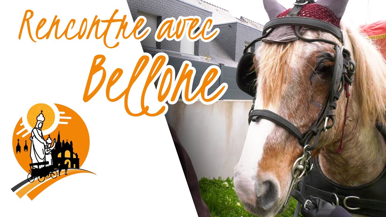 Calèche de la Troménie : rencontre avec Alice & Bellone