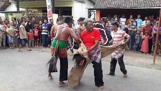 JAVANESE CULTURE ARTS | AMPAK-AMPAK SINGO BARONG #JARANAN JAWA TURONGGO BUDOYO REJOAGUNG-TULUNGAGUNG