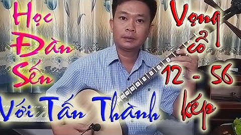 Đàn sến vọng cổ 12 56 dây kép lai | Tấn Thành Bàu Năng