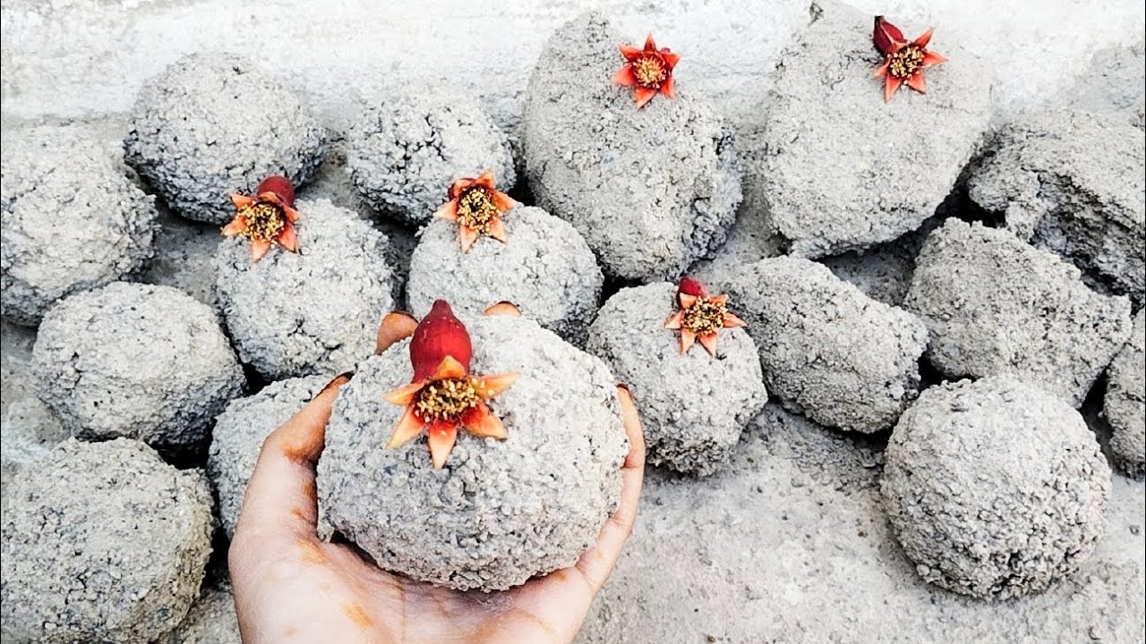 New Super Satisfying Texture Crumbling Video 📸🤤Gray Concrete😻🤌🏻Must Watch💫💖