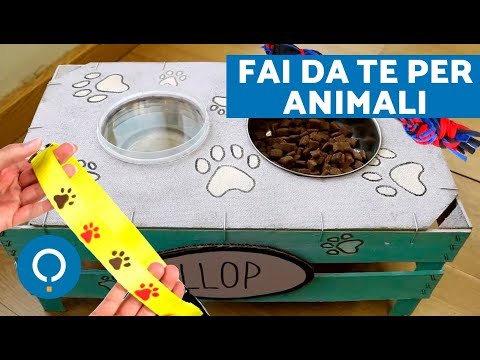 Video: Arricchimento Ambientale Per Cuccioli E Cani - Puzzle Toys E Mangiatoie Per Cani