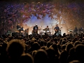 wilco Live Stream