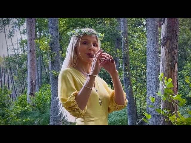 Haste to the Wedding ♫ Traditional Irish flute music