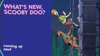 Cartoon Network - Pastel - Next Whats New, Scooby-Doo?