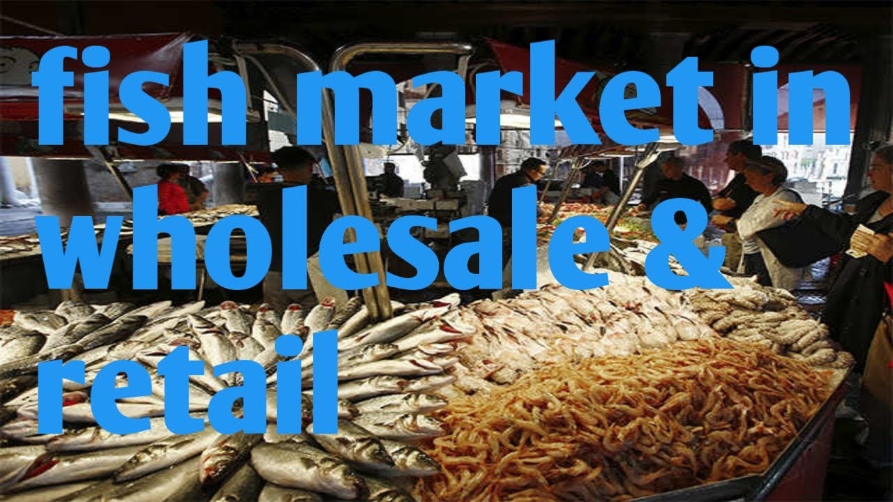Fish market in coimbatore wholesale & retail YouTube