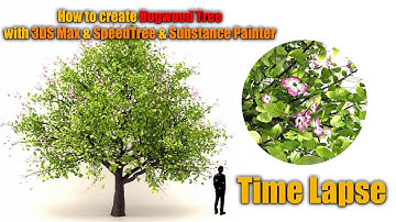 How to create Dogwood Tree with 3ds Max & Corona & SpeedTree & Substance Painter Timelapse