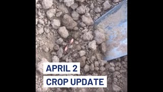 2020 Crop Updates - Episode 1: 2020 Spring Barley Sown