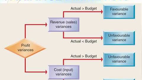 CMA P11137 YT C 1  Cost and variance measures   b  explain the reasons for variances within a perfor