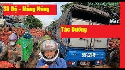 Mời Các Bạn Thử Cảm Giác Tắc Đường Mùa Vải Thiều Lục Ngạn I Vải Thiều Lục Ngạn bắc Giang