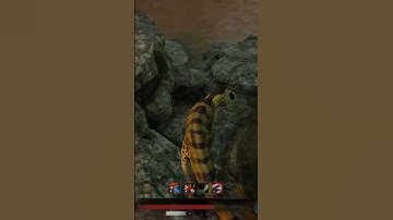 Dasp (Daspletosaurus) pursues baby killers at GP Path Of Titans Gameplay Official Server