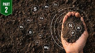 Your Soil Needs More Than NPK | Soil Health Part 2
