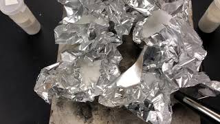 Celebrity Unit 5 Lab 3 Video 4 Profile