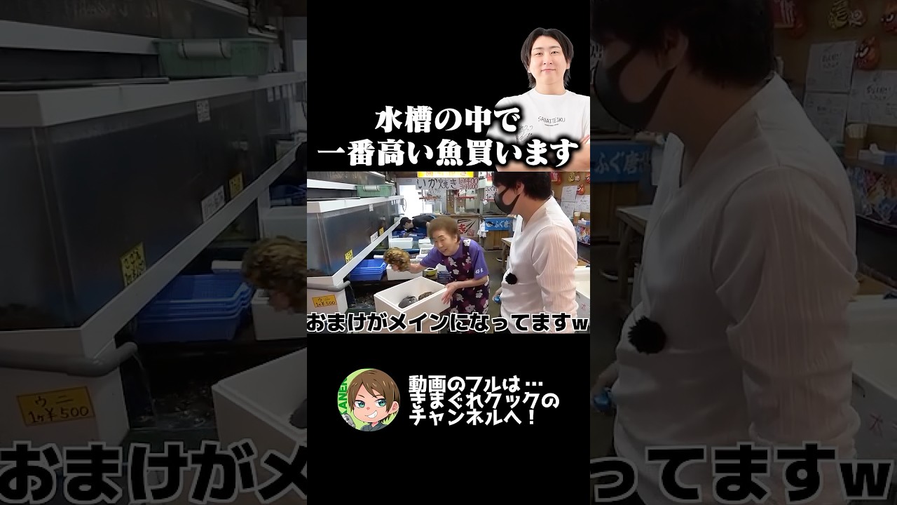この水槽の中で、一番高い魚買います。 - YouTube