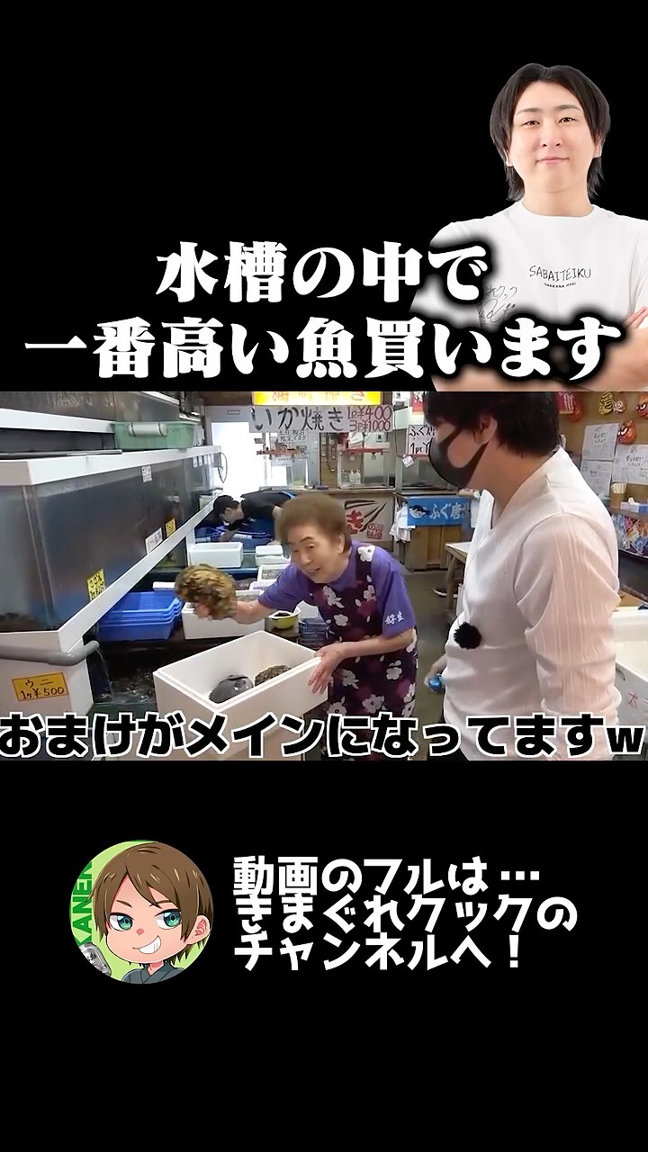 この水槽の中で、一番高い魚買います。 - YouTube