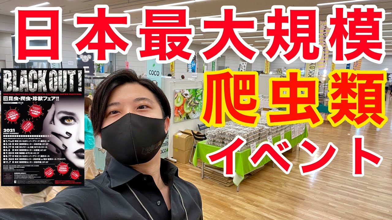 日本最大規模だった爬虫類イベントを最速リポート！【ブラックアウト｜BLACKOUT！】