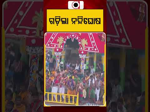 ଗଡ଼ିଲା ନନ୍ଦିଘୋଷ | Argus Reels | Nandighosa | Puri | Rathayatra 2026 | Badadanda | Argus News
