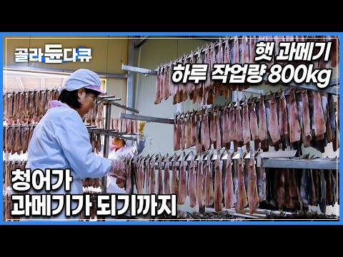 청어를 손질부터 소비자에게 보내지기까지의 과정│포항 <strong>구룡포</strong> 과메기│과메기 만들기│극한직업│#골라듄다큐
