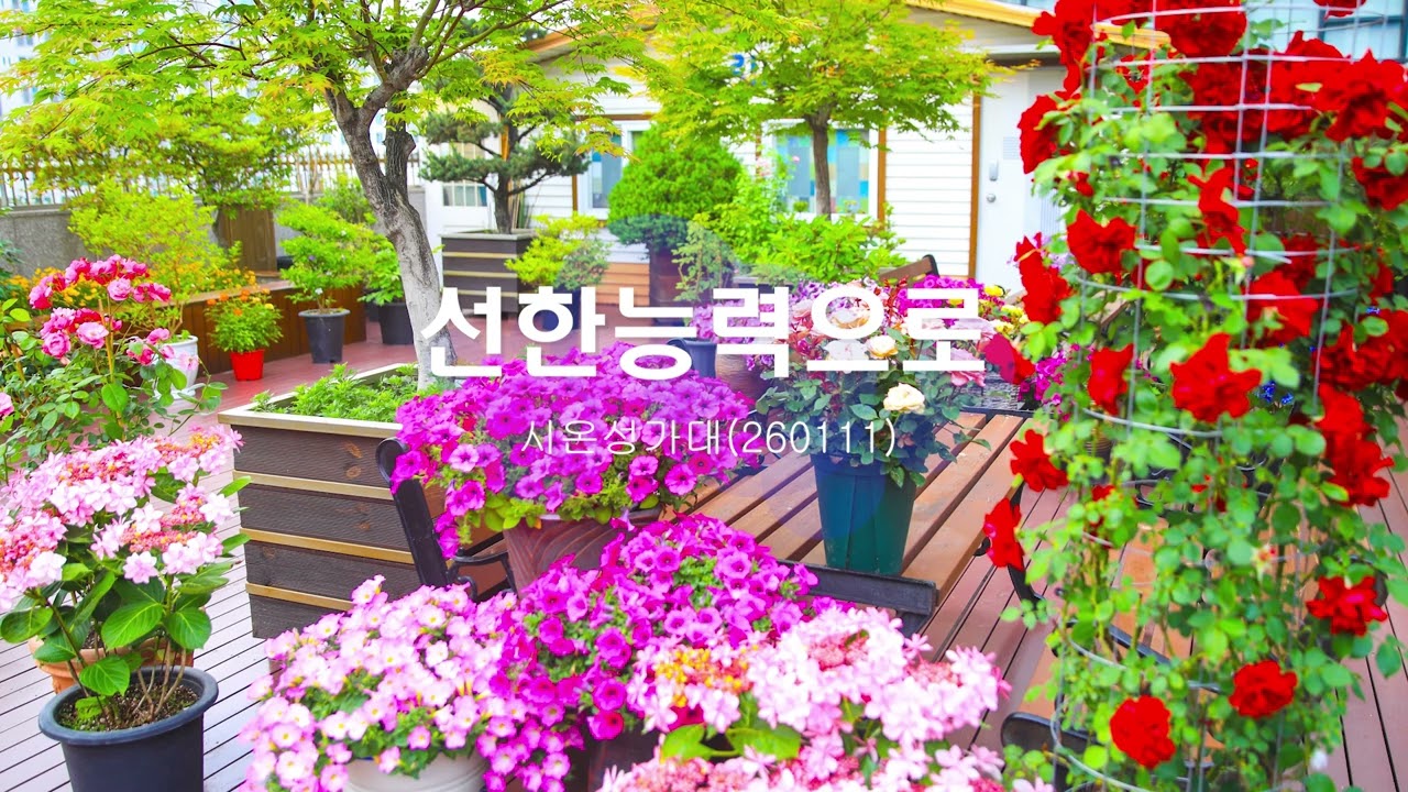 선한능력으로 / 시온성가대