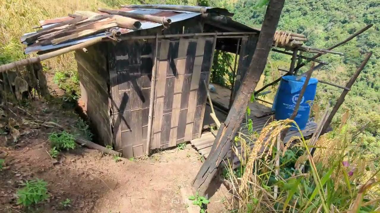 Buhseng kan tan der mai