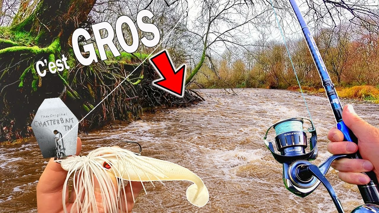 Les GROS POISSONS se réveillent pendant la crue ... avec de la VIBRATION !!!