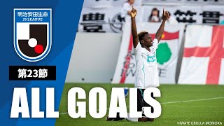 Ｊ３第23節の全ゴールまとめ！ALL GOALS：明治安田生命Ｊ３第23節