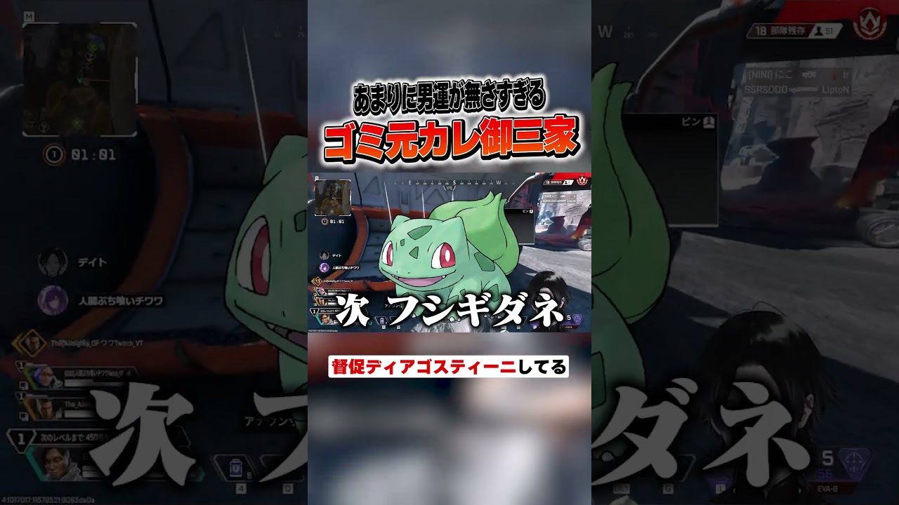 督促ディアゴスティーニをする人間ぶち喰いチワワさん #apexlegends #デイト