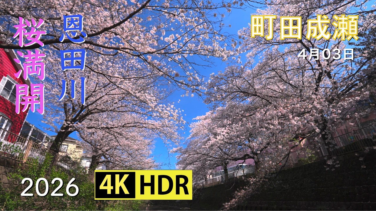 2026 Cherry Blossoms in Full Bloom at Onda River (UHD-HDR) - YouTube