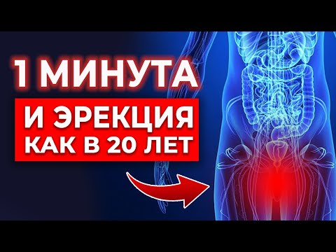 Эрекция гарантирована! Как восстановить ЭРЕКЦИЮ за минуту?