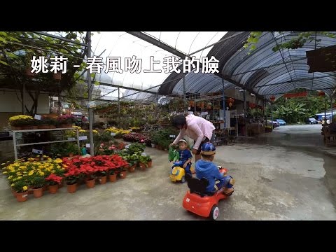 姚莉 - 春風吻上我的臉