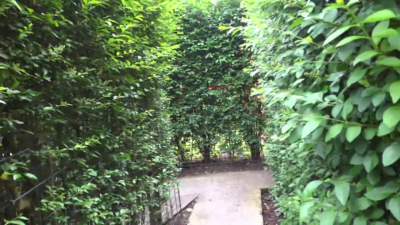 Chinese Puzzle Maze (POV) Blackpool Pleasure Beach
