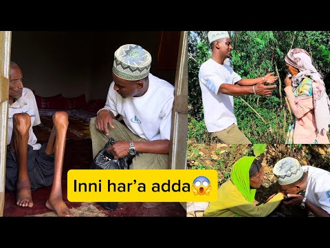 Sagantaa Baay Ee Bareedaaf Dadhabsiisaa Ta E Ilaalaa