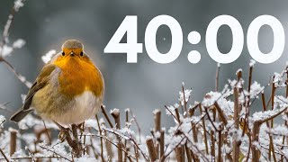 40:00 COZY WINTER SNOW TIMER  with soft chime at the end! ❄️⛄ | 40-Minute Winter Countdown