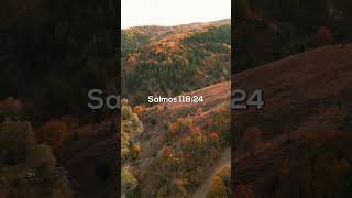 SALMOS 118:24 -  Meditaciones Diarias