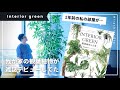 私の部屋が雑誌に【観葉植物との暮らし】インテリアグリーン | シェフレラ | シンボルツリー