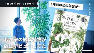 私の部屋が雑誌に【観葉植物との暮らし】インテリアグリーン | シェフレラ | シンボルツリー