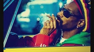 Snoop Dogg   Smoke Weed Everyday