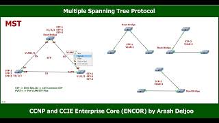 8 STP - Multiple Spanning Tree Protocol (MST) -  ArashDeljoo Part1 screenshot 2