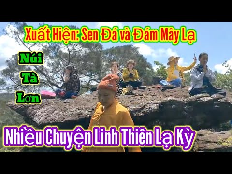 Video Hoa sen Đá và Những Chuyện Lạ Nhiệm Mầu - Núi Tà Lơn |... - youtube