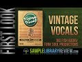 Premier aperu voix vintage de big fish audio  funksoul productions