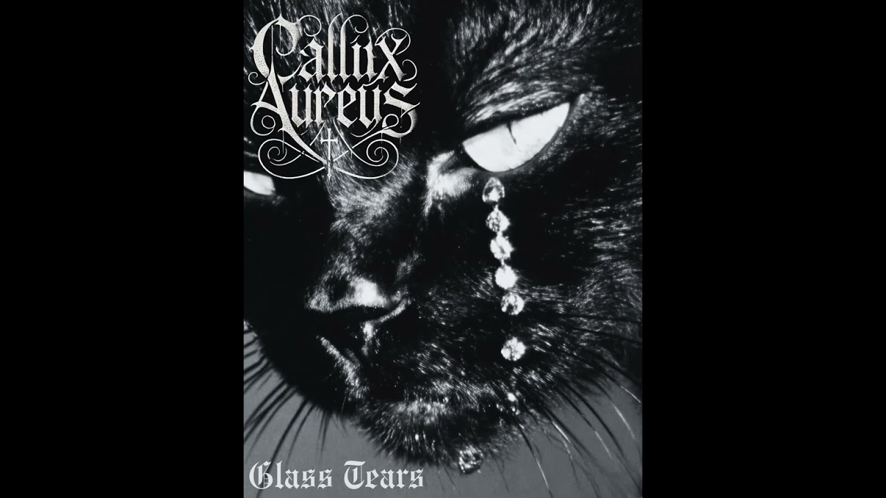 Callix Aureus - Too Late (DSBM)