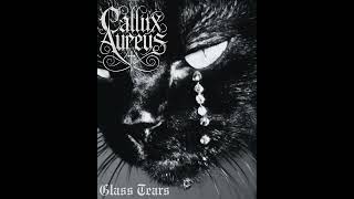Callix Aureus - Too Late
