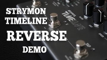 Strymon Timeline - Reverse