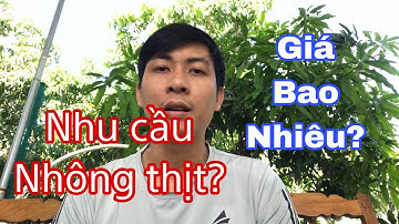TÌNH HÌNH ĐẦU RA CỦA NGHỀ NUÔI NHÔNG CÁT HIỆN TẠI