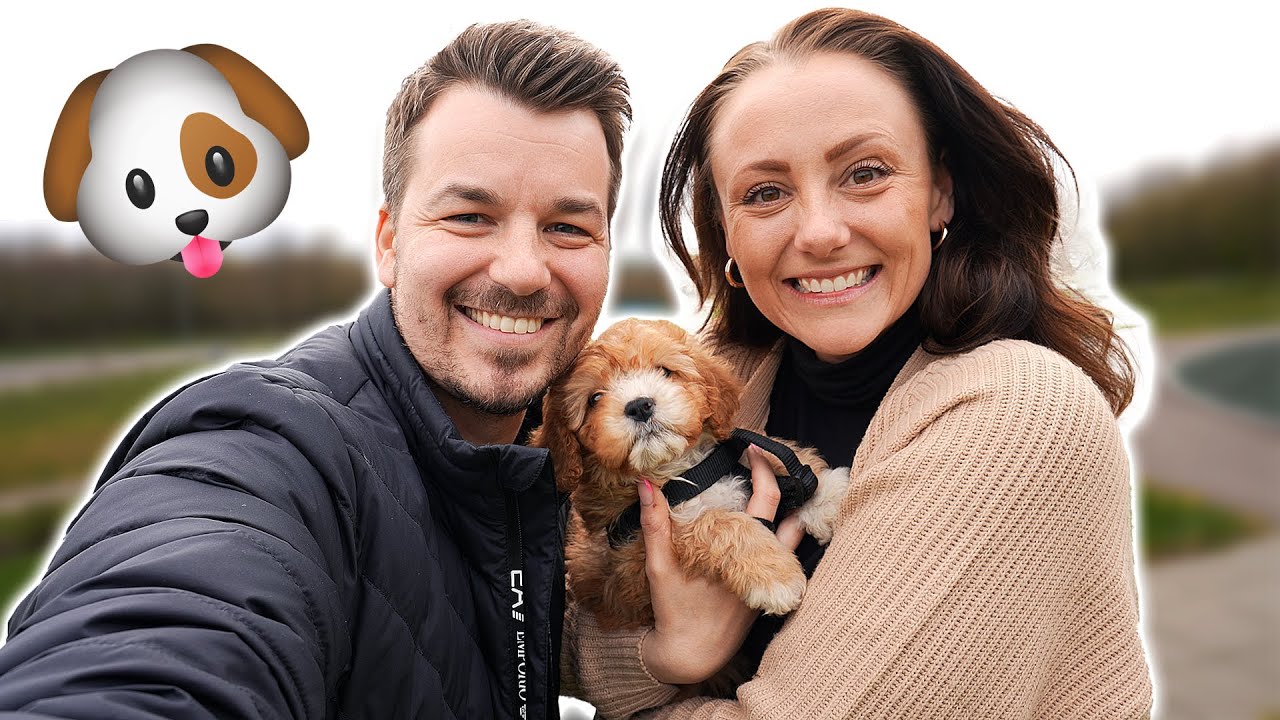 MØD VORES NYE HUNDEHVALP!