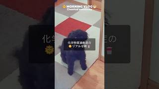 #shorts #日常vlog #化学物質過敏症 #dailyvlog #daily #vlog #フリーランス
