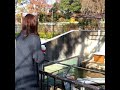 2018年京成らいん1・2月号「京成パンダがカワウソと対面」
