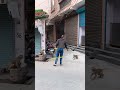 Monkey Catch - @vlogwithdeepak #vlog #monkey #catch