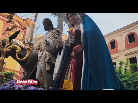 Real Cofradía de Nuestro Padre Jesús a su Entrada en Jerusalén y María Santísima del Amparo