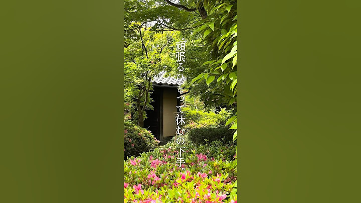 【温泉旅館スタッフが語る】頑張り屋さんほど知らない本当の休み方｜下呂温泉みやこTo Those Who Work Too Hard #下呂温泉  #旅行 #温泉  #retreat