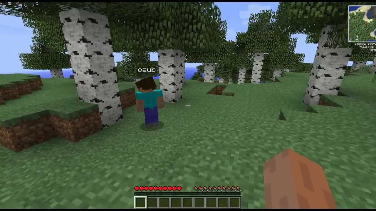 Tutorial, come sopravvivere il primo giorno su Minecraft - YouTube